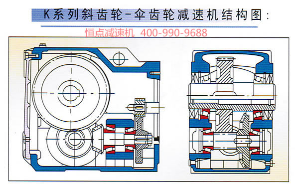 K系列斜齒輪-傘齒輪減速機内部結構彩圖