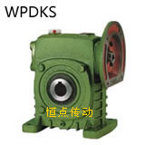 WPDKS蝸輪蝸杆減速機